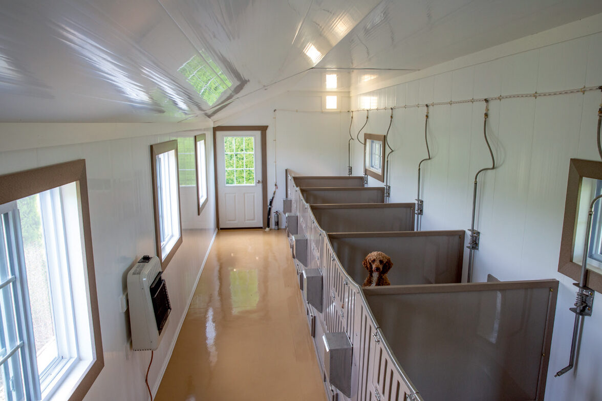 14x28-kennel-interior-2-1600x1600