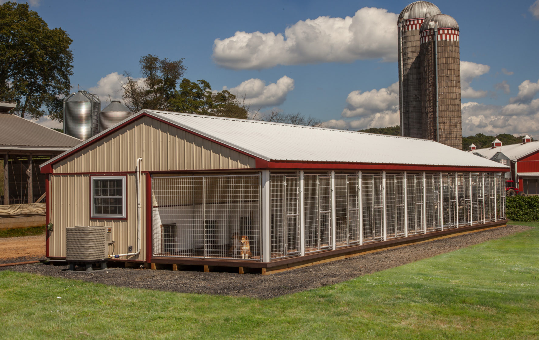 20x60_12-box_kennel-1774x9999