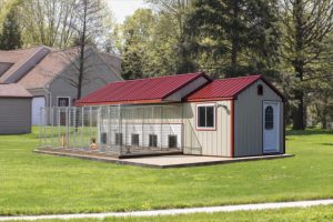 10x28_large_dog_kennel-887x9999